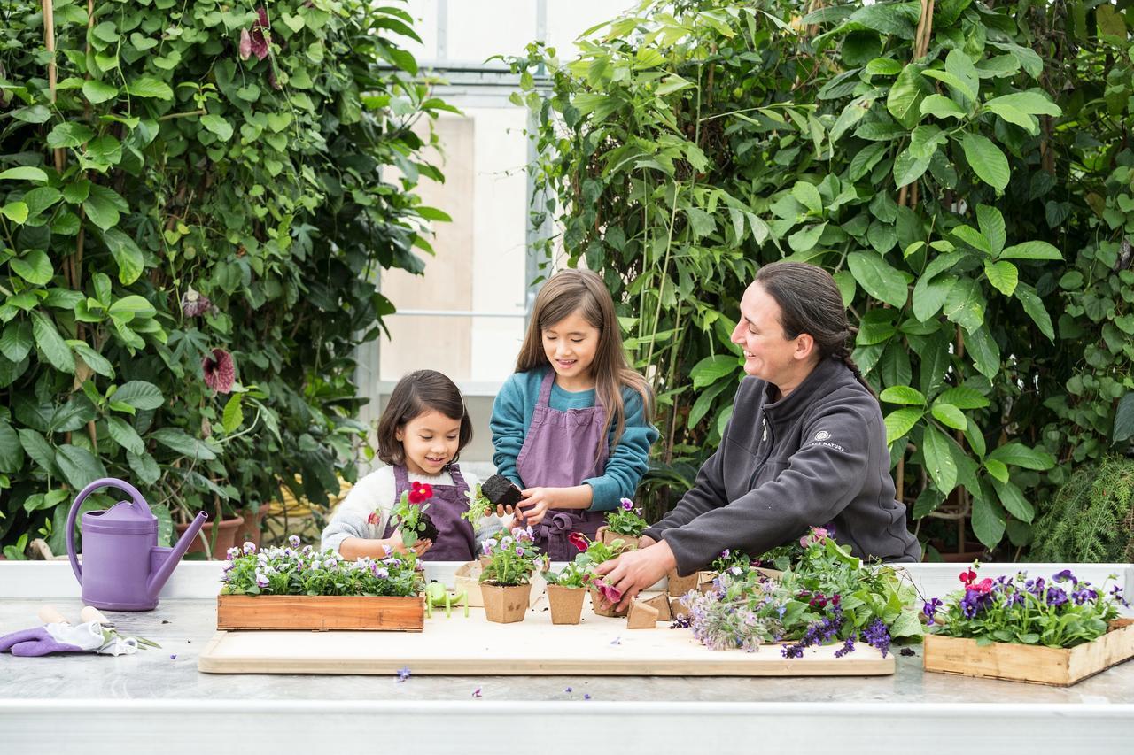באילי-רומאינוויליירס Center Parcs Villages Nature Paris מראה חיצוני תמונה